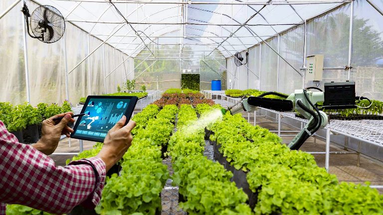 Kế hoạch sản xuất nông nghiệp an toàn, chất lượng và bảo vệ môi trường tỉnh Đắk Lắk giai đoạn 2022 - 2030